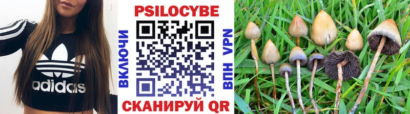 Галлюциногенные грибы Magic Shrooms Устюжна
